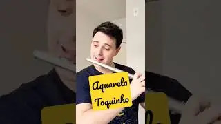 Aquarela|Toquinho(Flauta transversal)#flauta#flute#aquarela#toquinho#m&uacute;sica#mpb#music#shorts#cover