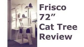 Frisco Cat Tree 72in review, Large, Cream, from Chewy