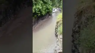 Rios limpios _ Clean Black River