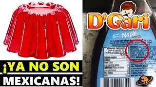 Los SECRETOS de GELATINAS D'GARI | ¿De que estan Hechas Realmente?