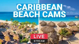 Best Caribbean Beaches - Live cams 🌴