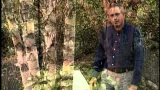 Virginia Farm Bureau - Mark Viette in the Garden - Preparing your next garden
