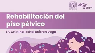 Rehabilitación del piso pélvico