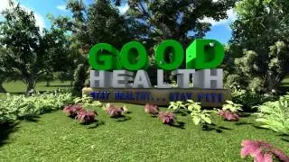 TV Montage Identity & Media Branding | Natural Graphics3D Animation | 3DBOX