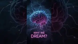 Why We Dream &mdash; The Hidden Science Inside Your Brain