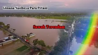 Area Persawahan Ponorogo Terendam Banjir | Kondisi Nyata dari Udara #88studio #drone #viralvideo