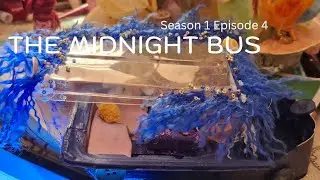 Glinty Minty Sparkle Season 1 Episode 4: The Midnight Bus