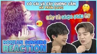 Korean singers🇰🇷 Reaction - 'CÔ GÁI VÀ CÂY DƯƠNG CẦM (Live)' - 'HÀ TRẦN🇻🇳'