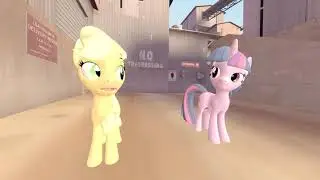 [MLP SFM] Do You Know What 