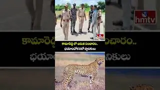 కామారెడ్డి లో చిరుత సంచారం.. భయాందోళనలో స్థానికులు | Leopard Attacks Goat In Kamareddy District