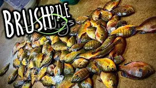 Ice Fishing BIG Bluegill & Bass on Soft Plastics!