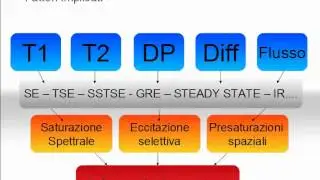 Dataset RM - K-spazio, Nuove Bobine e Imaging Parallelo 4/4