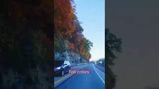 Fall Colors