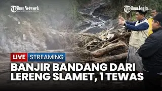 🔴 BANJIR BANDANG DARI LERENG SLAMET SERET KAYU–PIPA, 1 KORBAN TEWAS DAN RATUSAN WARGA MENGUNGSI