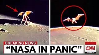 James Webb Telescope FINALLY FOUND What NASA Was Hiding on Pluto