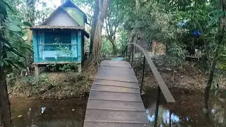 &pound;3 / $4 a night Jungle Palace!?!?