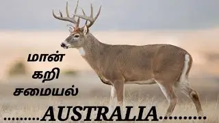 AUSTRALIA DEER CURRY | MAAN KARI IN TAMIL | மான்கறி குழம்பு