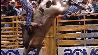 Terry Don West on GUNSLINGER