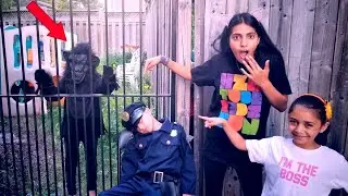 Anak-anak berpura-pura berperan sebagai polisi. Perilaku untuk semua orang Drama Mainan