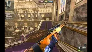 Bug guns in PB[Point Blank]