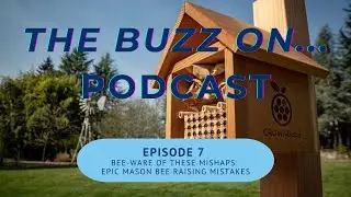 Bee-ware of These Mishaps: Epic Mason Bee Raising Mistakes | Ep 7