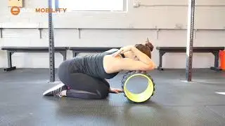 Acumobility Ultimate Back Roller - Triceps Rolling