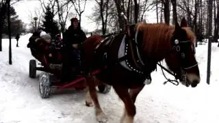 C&ocirc;te Saint-Luc Winter Carnival 2014 &bull; Carnaval d'hiver 2014