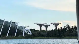 Relaxing Sail Past Gardens by the Bay 🌿 | Singapore 🇸🇬 Waterfront Views #singapore #gardenbythebay