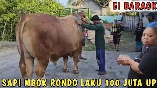 PECAH‼️TANGIS HARU PENJEMPUTAN SAPI TERBESAR MBOK RONDO JUARA 1 BANYUWANGI