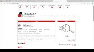 Molecular Docking Made Easy: Step-by-Step Tutorial for Beginners