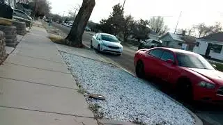 Jan 09 2026 - SnowFall Walk Part 1