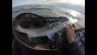 P&ecirc;che du bar en Float tube