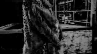 Rick Wade - Pyro Dynamics