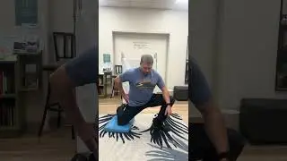 Hip Mobility Flow