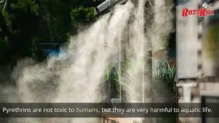 How Do Mosquito Misting system works?