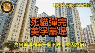 死貓彈完，美孚崩堤｜為何美孚新邨是第一個創新低屋苑，原因為何？