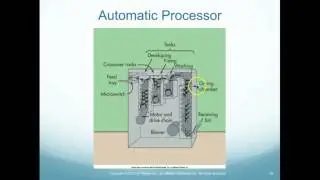 Automatic Processing
