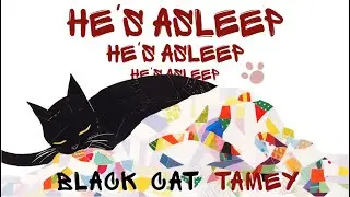 Audiobook For Kid | Black Cat Tamey He's Asleep