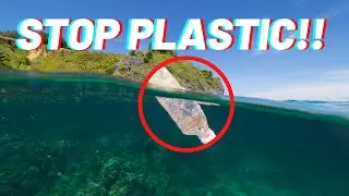 Hemp Plastic: A Misunderstood Treasure