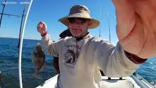 Catching big red snapper and beeliners with Justin and Chris on 11-23-24 in Panama City, part 2.