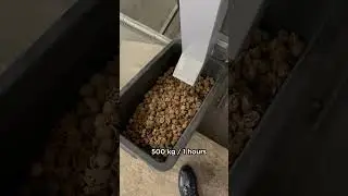 Walnut vibrating screen with aspiration 500 kg/h #processing #walnut #machine