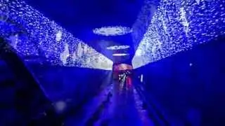 Samcheok Ocean Rail Bike