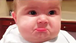 Cute babies funny videos 2026 😅 funny baby boys