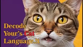 Why Do Cats Meow? 15 Types of Cat Sounds Explained #10 Will Melt Your Heart!