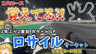 【F1】カタールGP ロサイル・インターナショナル・サーキットを徹底解説【コース解説編】