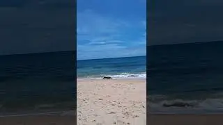 Mar