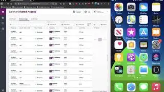 iOS Kerberos SSO with STA