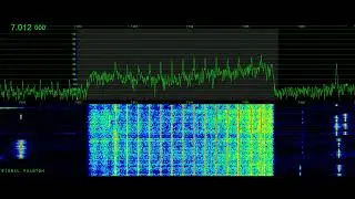 Russian Military CIS Noise Intruder 40m Band | Signal Phantom