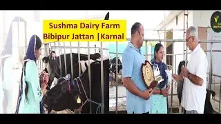 लोगो को डेयरी संबंधी सिखलाई देने वाले सुषमा डेयरी की हर एक गायें अढ़ाई लाख की विजेता है #training