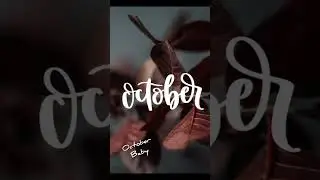 How much similar you are to me #trending #trend #october #rainy #shorts